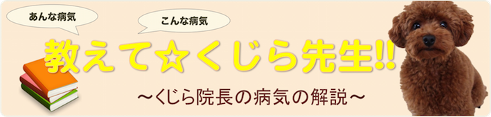 犬・猫の病気の解説・説明