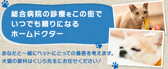 総合病院の治療をこの街でいつでも頼りになるホームドクター