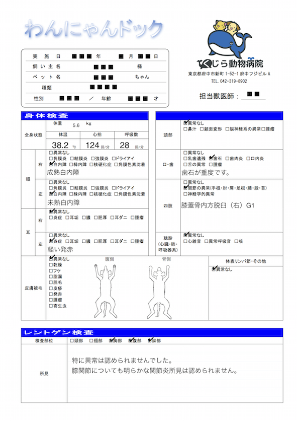 府中,国分寺,動物病院,健康診断,わんにゃんどっく