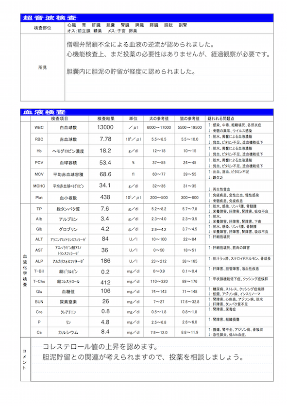 府中,国分寺,動物病院,健康診断,わんにゃんどっく